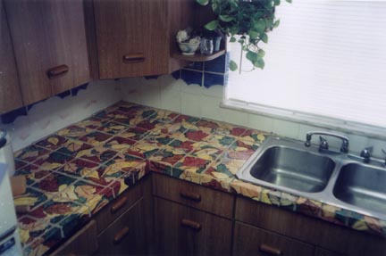 Shaker Heights Ohio Ceramic Tile Kitchen by George Woideck of Artisan Architectural Ceramics
